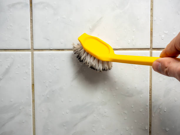 Best Mold Inspection  in Summit, IL