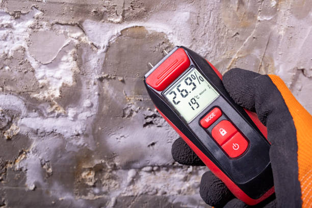Best Fast Mold Removal  in Summit, IL