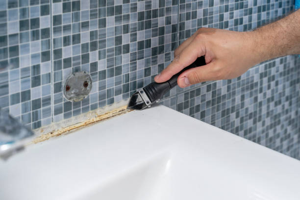 Trusted Summit, IL Mold Removal Experts